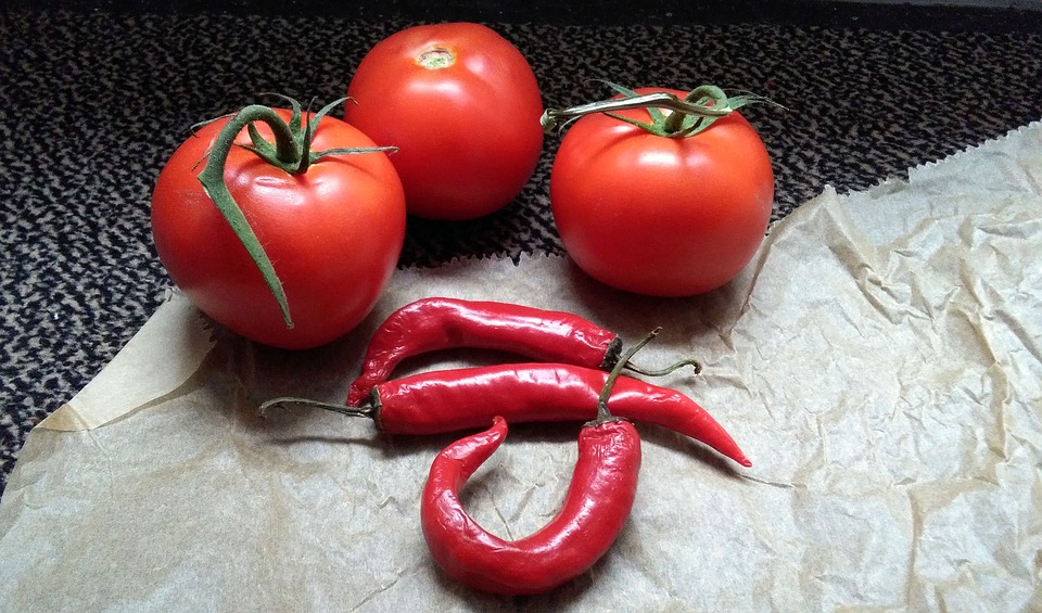 Zpracování rajčat a paprik