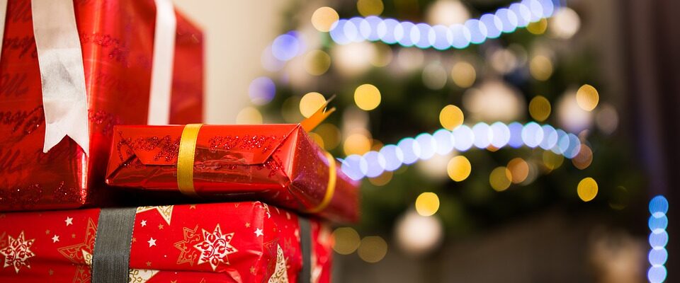 Živé vánoční dárky i letos. Co (nejen) dětem pořídit?