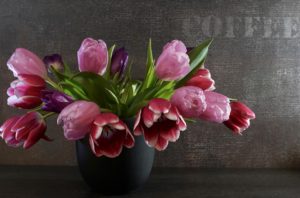 Péče o zimní tulipány