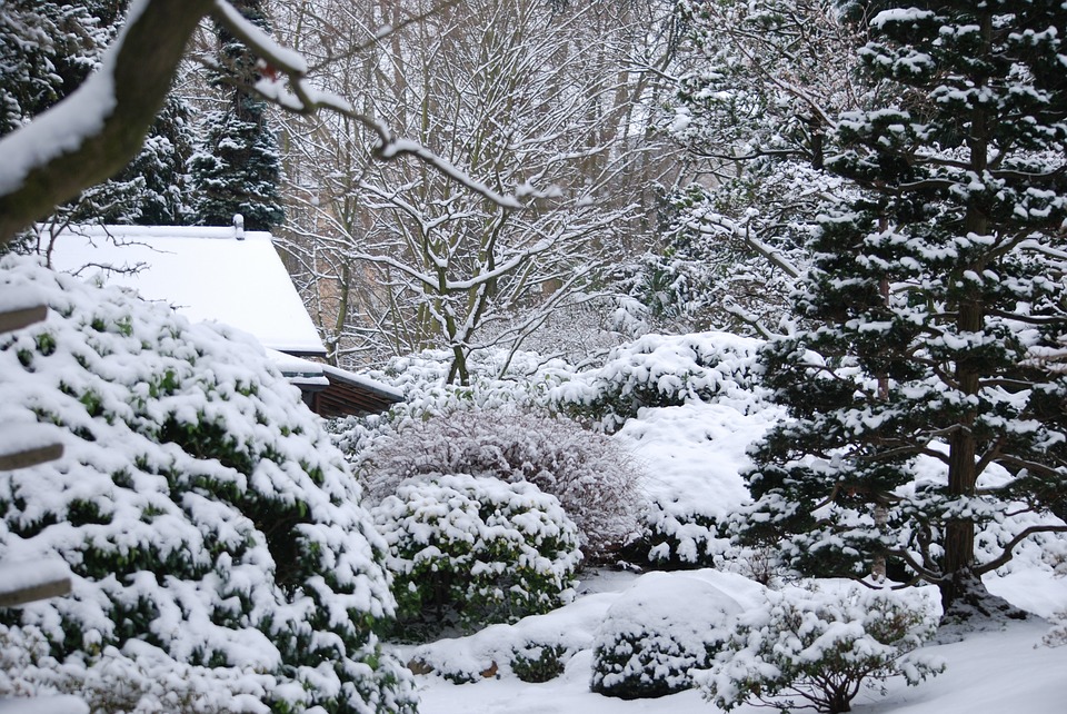 I v zimě vyžaduje zahrada péči. Jak se o zimní zahradu starat?