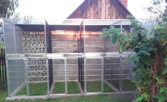 Tři tipy pro začínající chovatele ptactva
